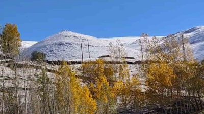 Ağrı’nın Hamur ilçesine bağlı Karlıca köyü çevresindeki yüksek kesimlerde etkili