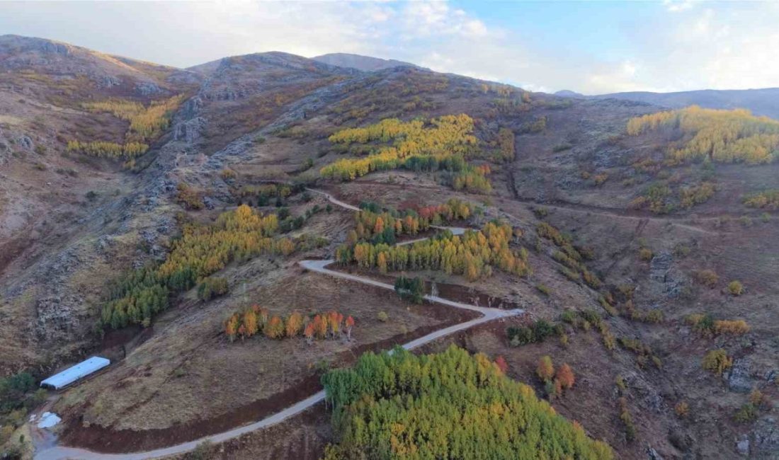 Muş Gençlik ve Spor İl Müdürlüğü ile Halk Eğitim Merkezi