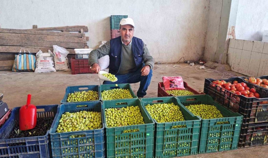 Kütahya’nın Hisarcık ilçesinde vatandaşların son yıllarda sağlıklı ve ucuza mal