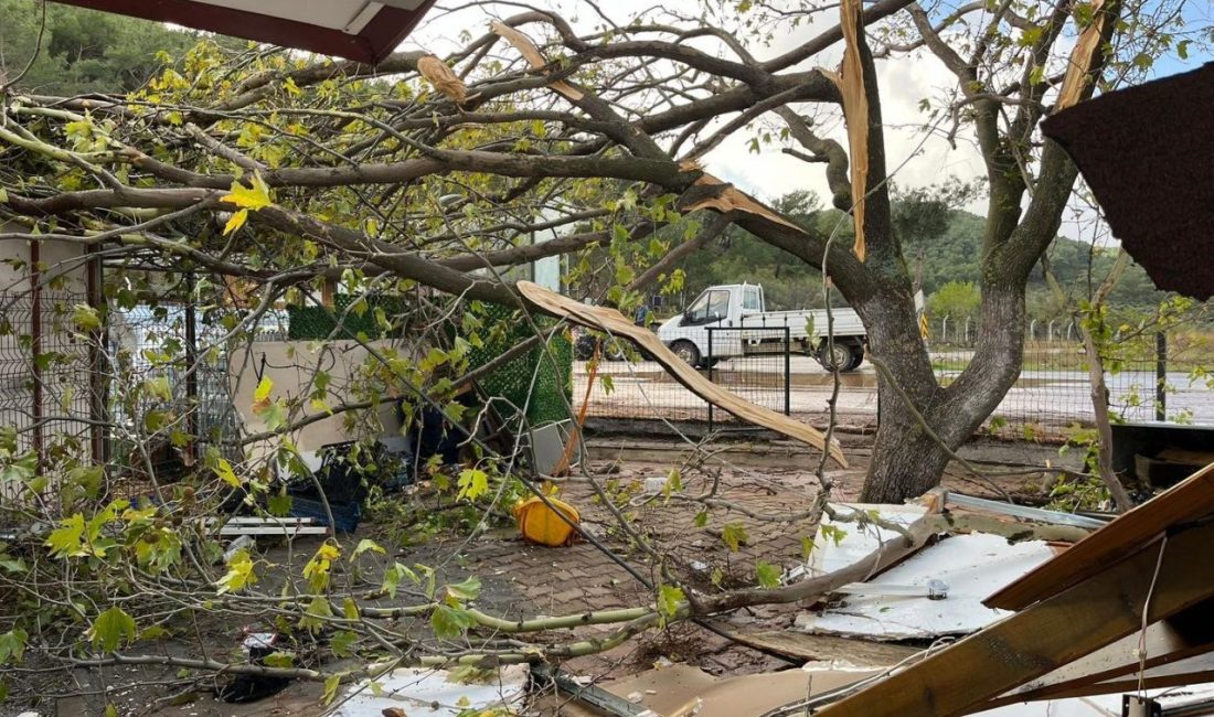 Balıkesir’in Havran ilçesinde dün akşam saatlerinde etkili olan yoğun yağış