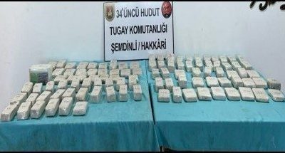 Milli Savunma Bakanlığı (MSB), Van ve Hakkari hudut birliklerinin arama