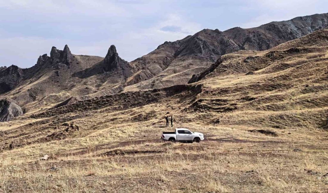 Iğdır Doğa Koruma ve Milli Parklar Müdürlüğü ekipleri, yaban hayatını