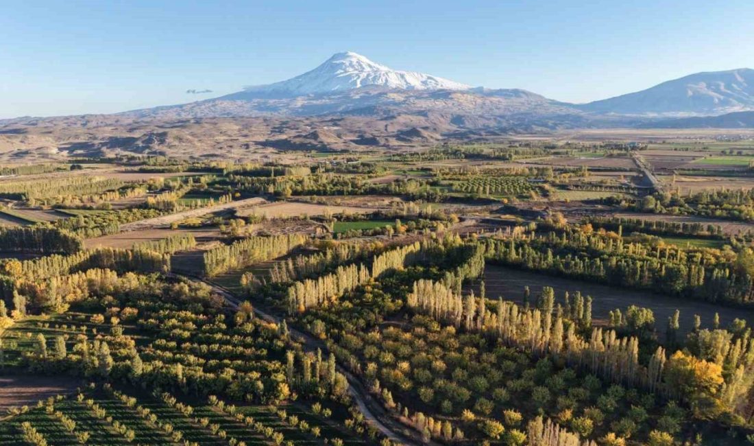 Ağrı Dağı’nın kuzey eteklerinde, Iğdır’ın Melekli beldesinde yer alan İrem