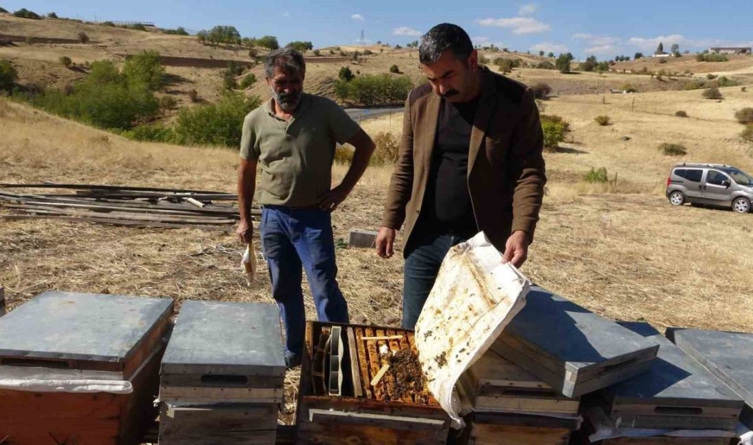 Küresel iklim değişikliği yurt genelinde olduğu gibi Tunceli’de bal rekoltesini