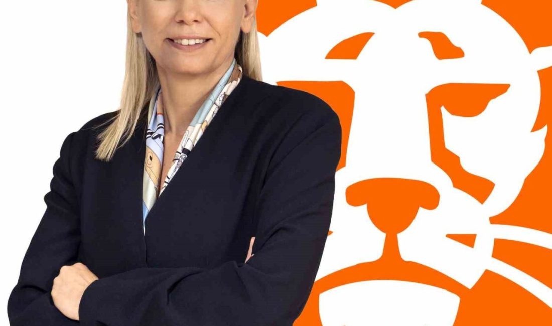 Yenilenen ING Mobil yatırım fonksiyonlarıyla kullanıcılar, yatırım fonlarını dijitalden kolayca