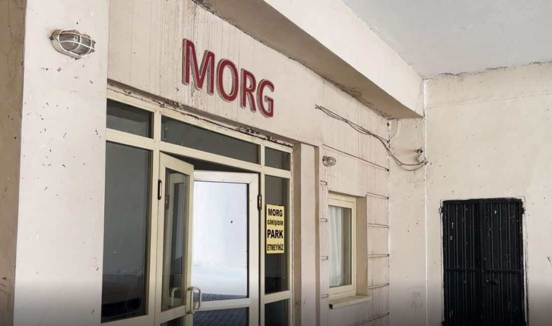 İş makinesinin altında kalan 1,5 yaşındaki çocuk hayatını kaybetti Şanlıurfa’nın Siverek ilçesinde 1,5 yaşındaki bir çocuk, evinin önünde oyun
