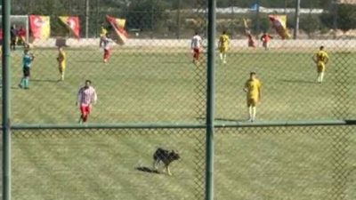 Keçiborlu Belediyespor’un, 1922 Akşehirspor ile oynadığı Bölgesel Amatör Lig maçının