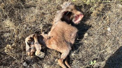 Antalya’nın Kumluca ilçesinde yaşayan bir adam, bir günlük iş seyahatinden