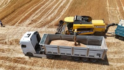 Türkiye Ürün İhtisas Borsası (TÜRİB) Elektronik Ürün Senedi (ELÜS) piyasasında