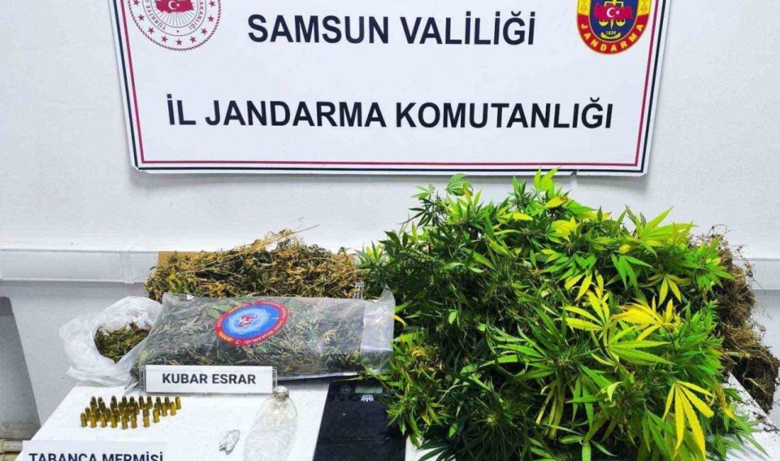 Samsun’un Çarşamba ilçesinde jandarma ekipleri tarafından bir evin deposuna yapılan