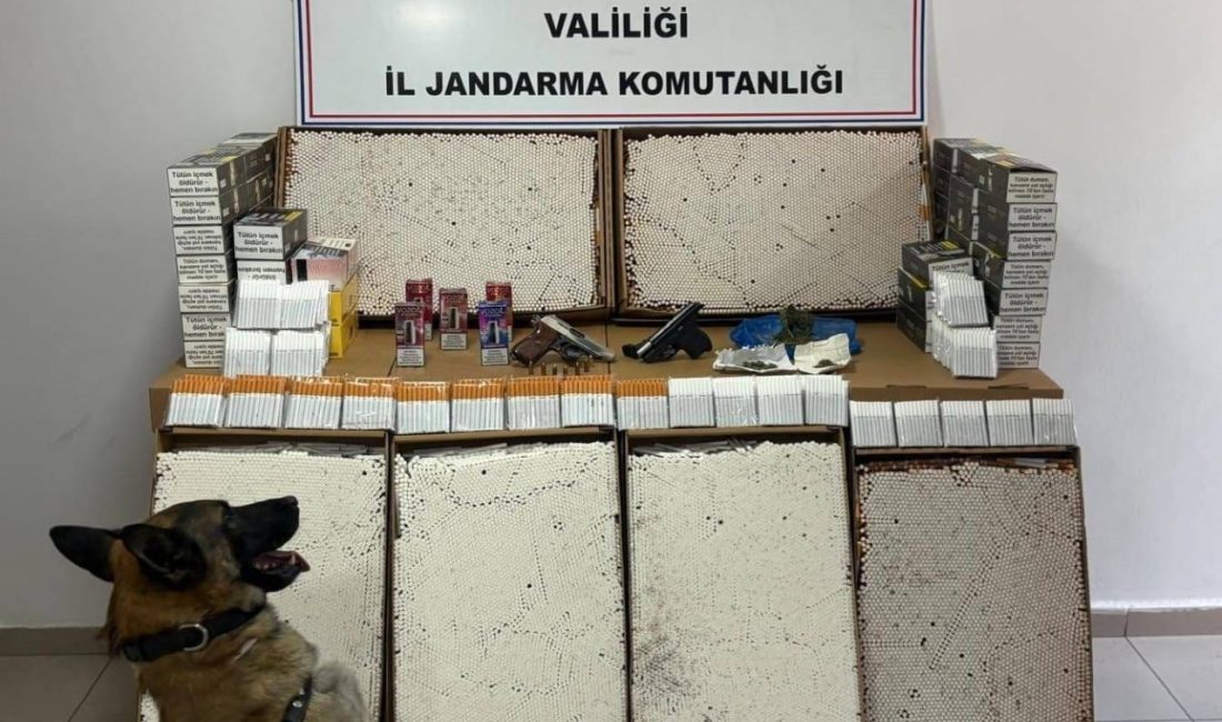 Jandarmadan uyuşturucu ve kaçak makaron operasyonu Afyonkarahisar’da jandarma tarafından iki farklı adrese yapılan baskında 18 gram