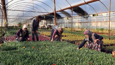 Muğla Büyükşehir Belediyesi, kırsalda üretimi sürdüren kadınların ve üretici kooperatiflerin