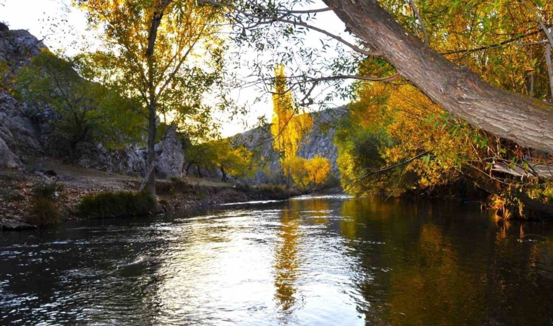 Kahramanmaraş’ta sonbaharın gelmesiyle birlikte sararan yapraklar kartpostallık görüntüler oluşturdu. Kahramanmaraş’ın
