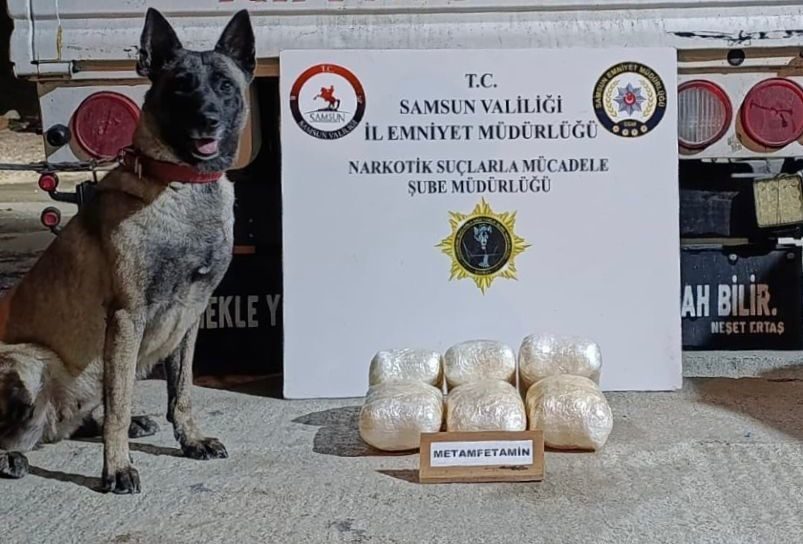 Samsun’da kamyonete gizlenmiş uyuşturucuyu narkotik dedektör köpeği Şila bulurken, 4