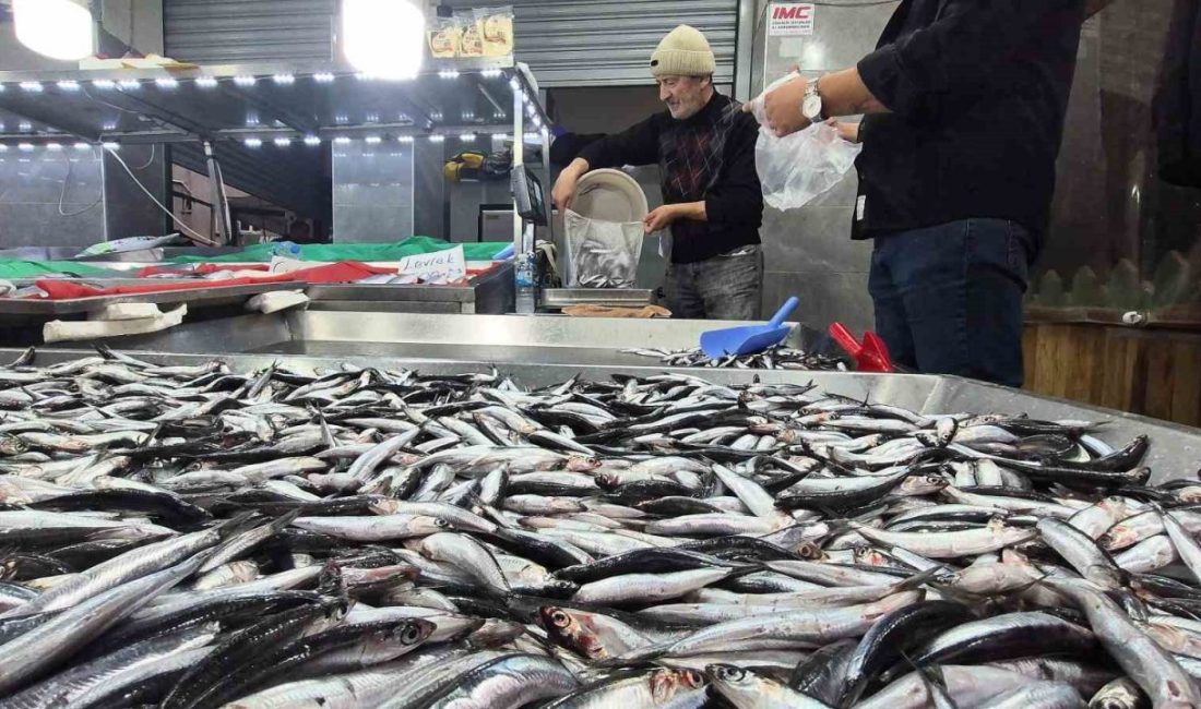 Karadeniz’de hamsi bollaştı, Bartın’da kilosu 50TL’ye düştü Bartın’da balık tezgahların hamsi bollaştı, kilosu 50 TL’ye düştü. Karadeniz’de
