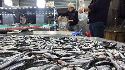 Bartın’da balık tezgahların hamsi bollaştı, kilosu 50 TL’ye düştü. Karadeniz’de