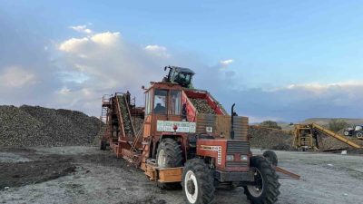 Kars’ın tarım potansiyeli yüksek ilçelerinde şeker pancarı hasadı devam ediyor.