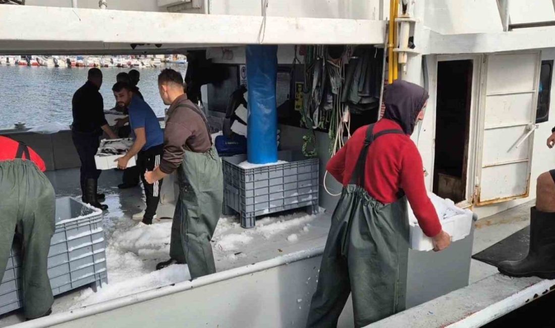 Marmara Denizi’nde avlanan büyük balıkçı tekneleri Süleymanpaşa’daki limana onlarca kasa