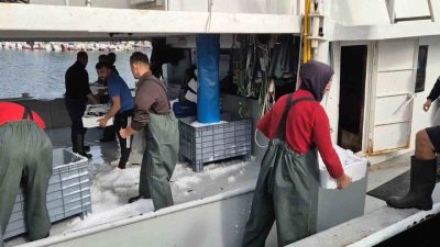 Marmara Denizi’nde avlanan büyük balıkçı tekneleri Süleymanpaşa’daki limana onlarca kasa