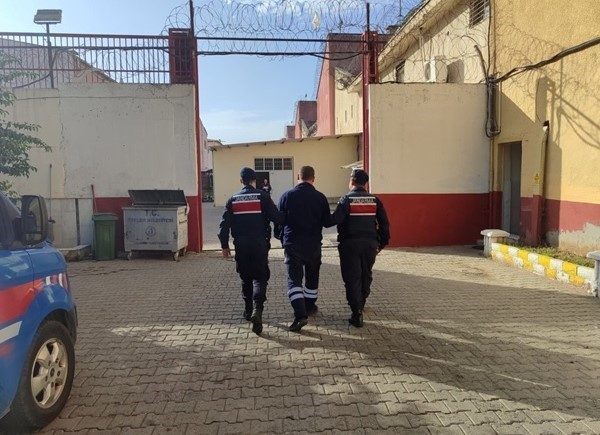 Aydın’da jandarma ekipleri tarafından yapılan operasyonda 5 yıl kesinleşmiş hapis
