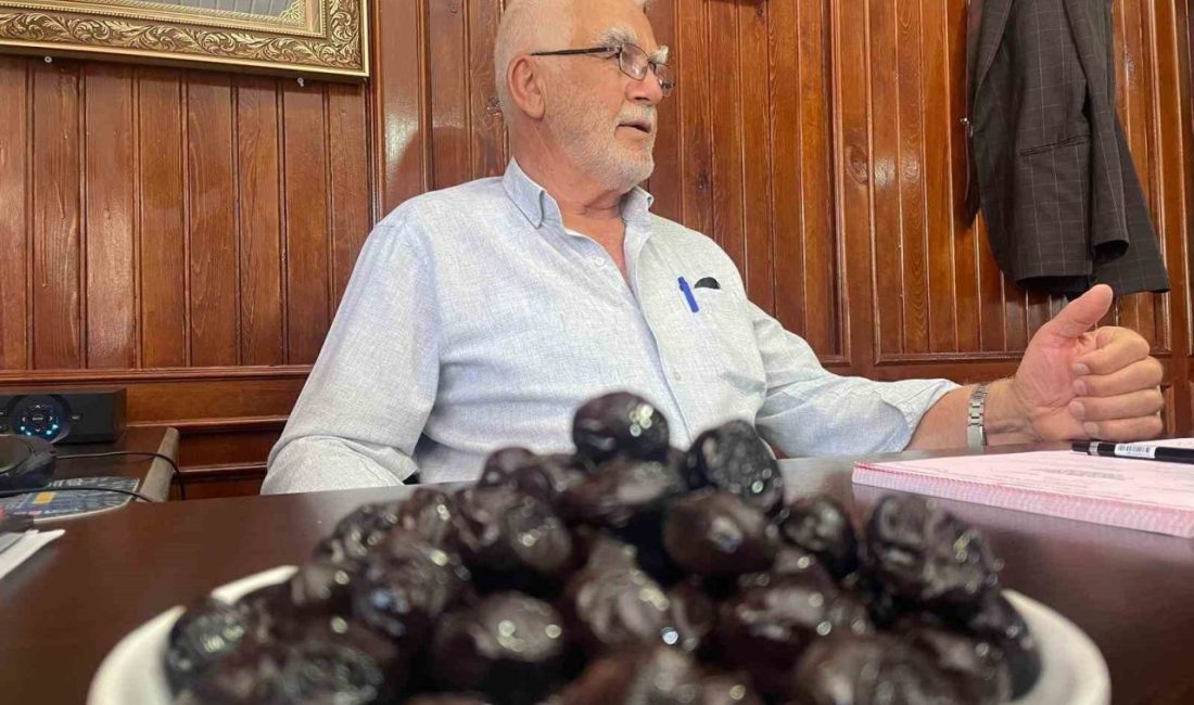 BURSA (İHA) – Bursa’nın Gemlik ilçesinde faaliyet gösteren Katırlı Köyü