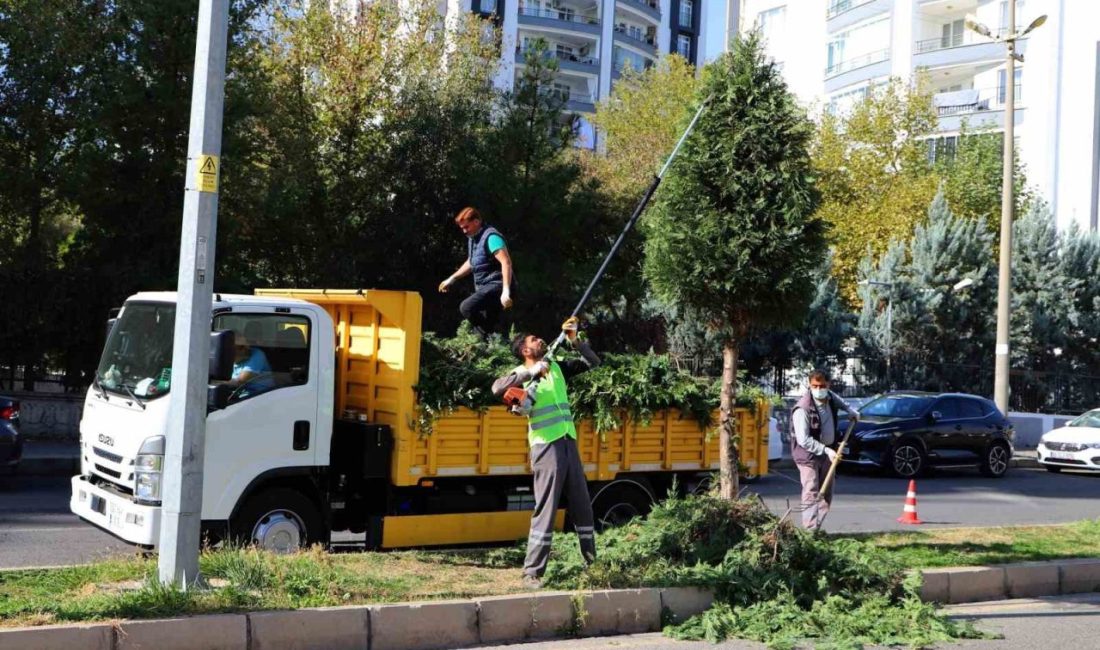 Diyarbakır Büyükşehir Belediyesi, kaldırım, refüj, kavşak, park ve yeşil alanlarda