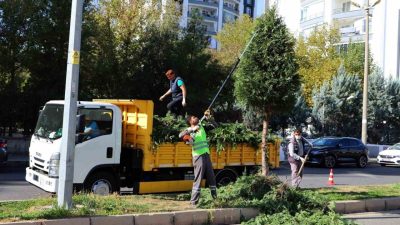 Diyarbakır Büyükşehir Belediyesi, kaldırım, refüj, kavşak, park ve yeşil alanlarda