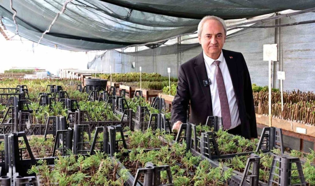 Kepez Belediyesi, iklim değişikliği ve küresel ısınmanın olumsuz etkilerini azaltmak,