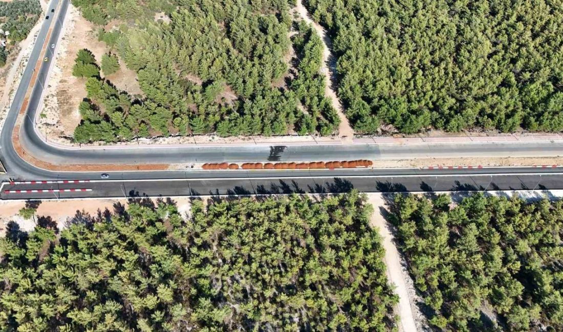 Kepez’in yeni drag pisti yarışlara hazır Kepez Belediyesi tarafından Türkiye Otomobil Sporları Federasyonu’nun Ulusal Oto-Drag Talimatı’na