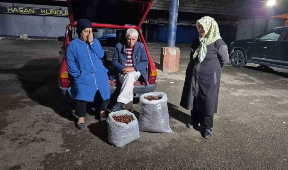 Türkiye genelinde yaşanan kurak havalar nedeniyle kestane rekoltesinde büyük düşüş