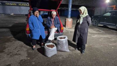Türkiye genelinde yaşanan kurak havalar nedeniyle kestane rekoltesinde büyük düşüş