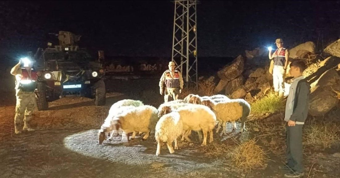 Kilis’te kaybolan 11 koyun jandarma ekiplerince bulundu Kilis’in Elbeyli ilçesine bağlı Yenideğirmen köyünde kaybolan 11 koyun, İl