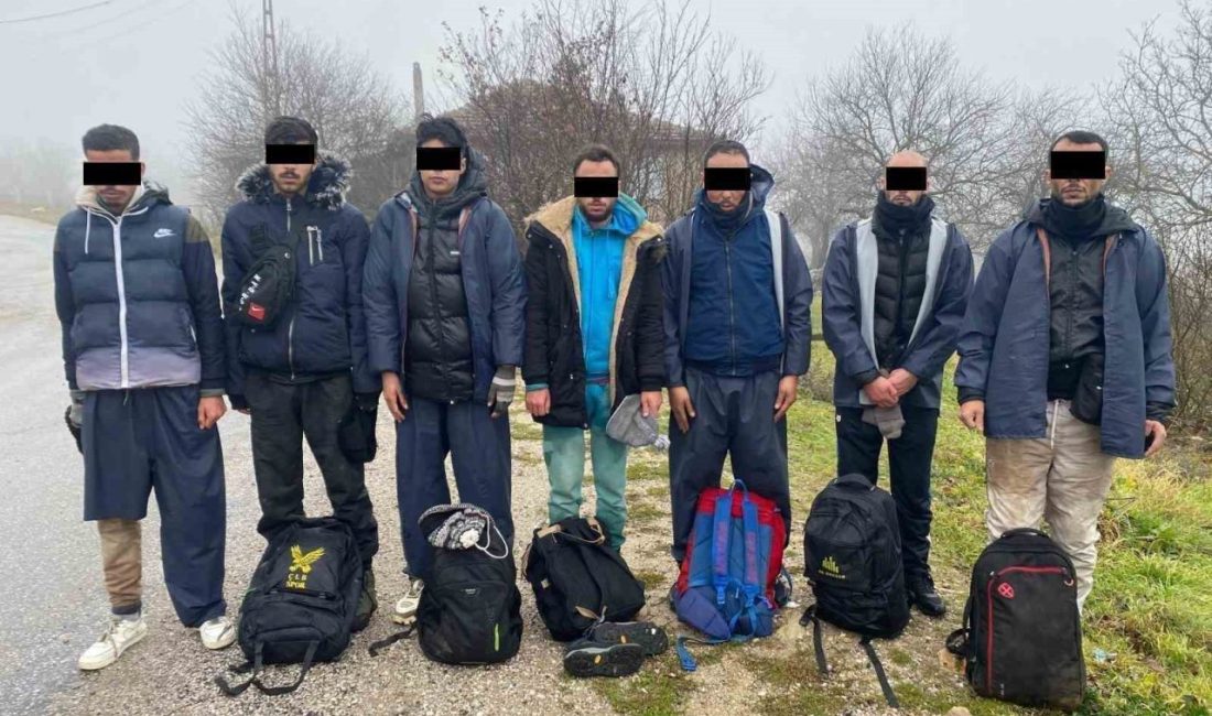 Kırklareli’nde jandarma ekiplerince yapılan çalışmada 9 kaçak göçmen yakalandı. Alınan