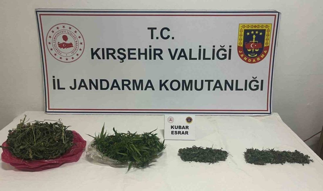 Kırşehir’de jandarma ekipleri tarafından yapılan çalışmalarda 2 bin 198 sentetik