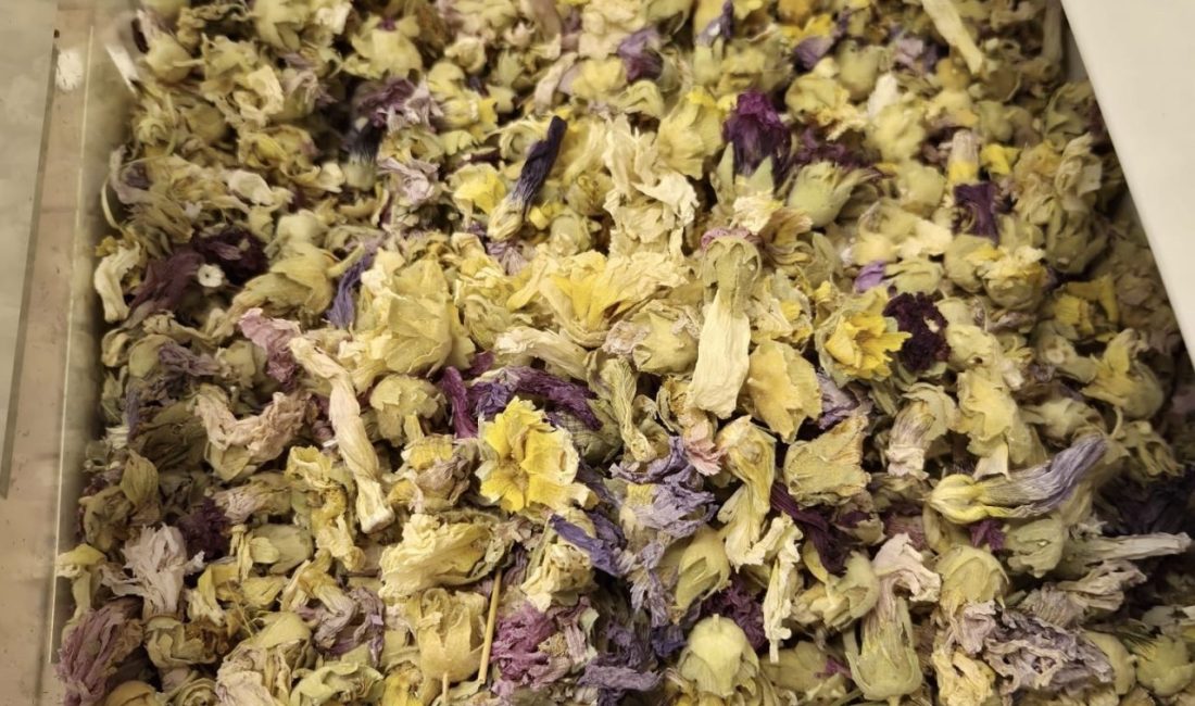 Kocaeli’de havaların soğumasıyla birlikte vatandaşlar, bağışıklığı güçlendiren doğal ürünlere yöneldi.