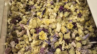 Kocaeli’de havaların soğumasıyla birlikte vatandaşlar, bağışıklığı güçlendiren doğal ürünlere yöneldi.