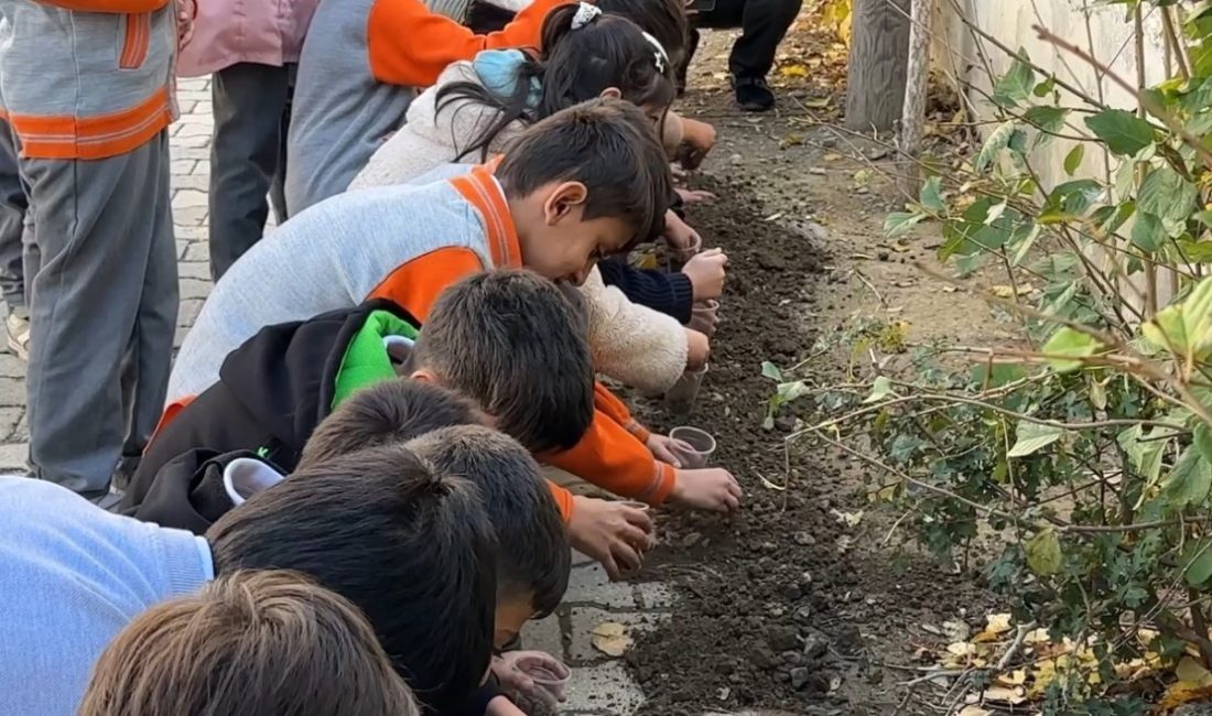 Konya’dan Hakkari’nin Yüksekova ilçesine gönderilen 30 adet ata tohumu ve