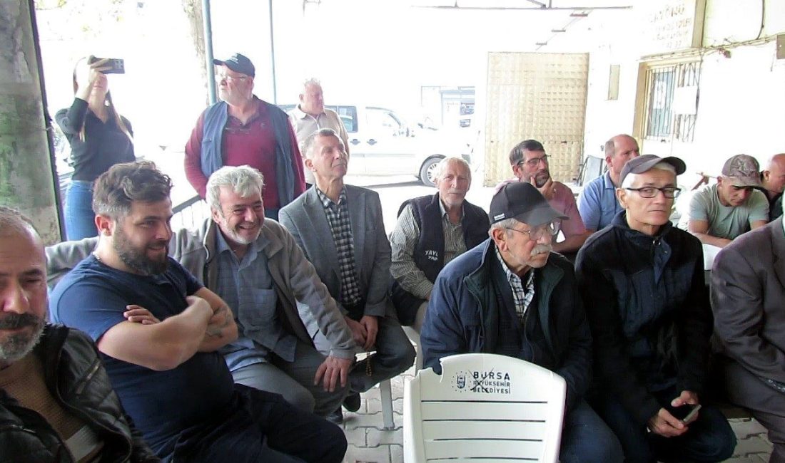 Mudanya Belediyesi’nin meclis kararı ile köy mülklerinin satışı konusunda kararı