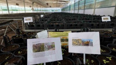 Şanlıurfa Büyükşehir Belediyesi, yeşil alanlarda su verimliliğini artırmak ve ekolojik