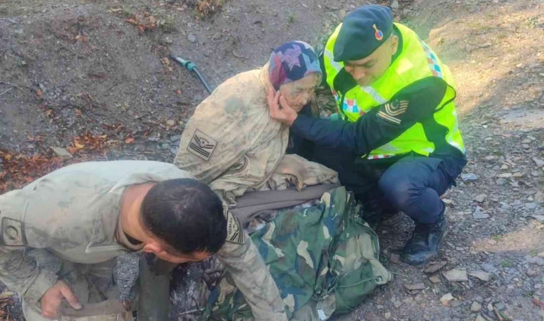 Kütahya merkeze bağlı Karaağaç köyünde kuşburnu toplamak için ormana giden