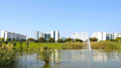 Yakın Doğu Üniversitesi kampüsündeki doğal göletten izole edilen “NEU2023” adlı