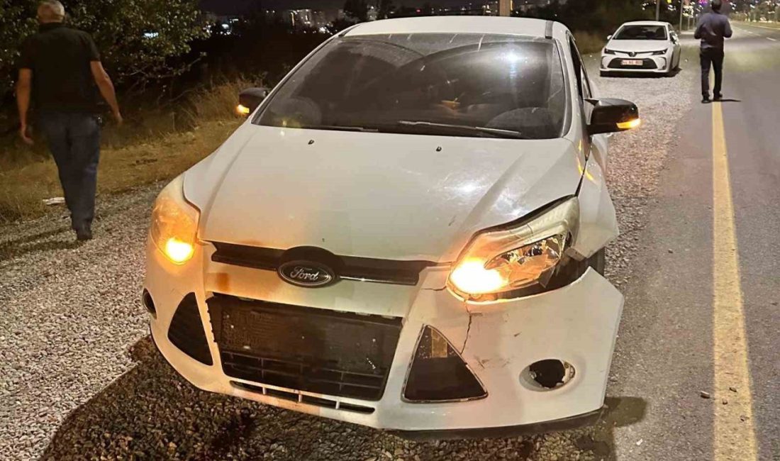 Malatya’da seyir halindeki bir aracın önüne aniden çıkan yaban domuzu