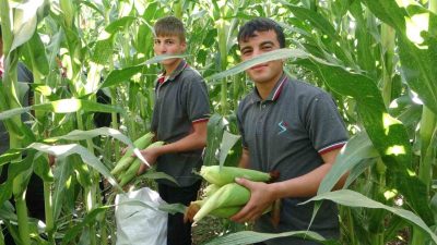 Malatya’da Tarım Mesleki ve Teknik Anadolu Lisesi’nde öğrenciler tarafından yetiştirilen