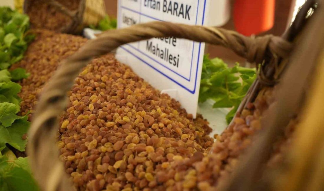 Türkiye’nin en önemli tarım kentlerinden biri olan Manisa’da, 2025 yılının