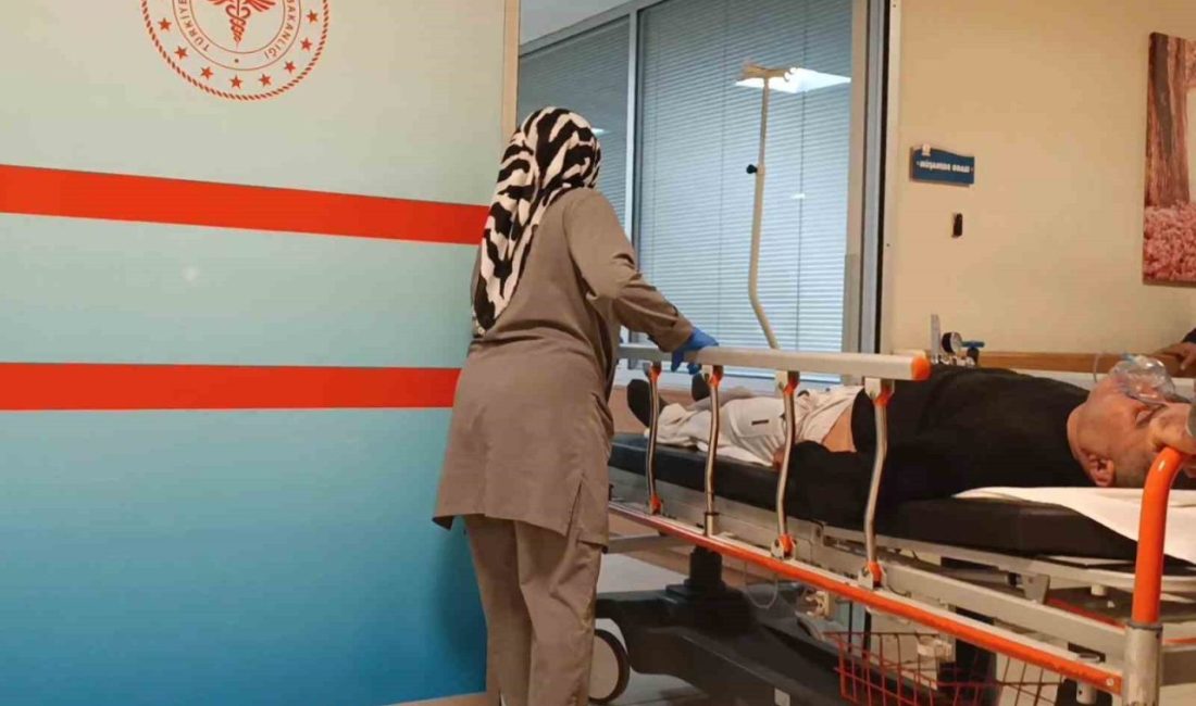 Bursa’nın İnegöl ilçesinde yediği mantardan zehirlenen bir kişi hastaneye kaldırıldı.