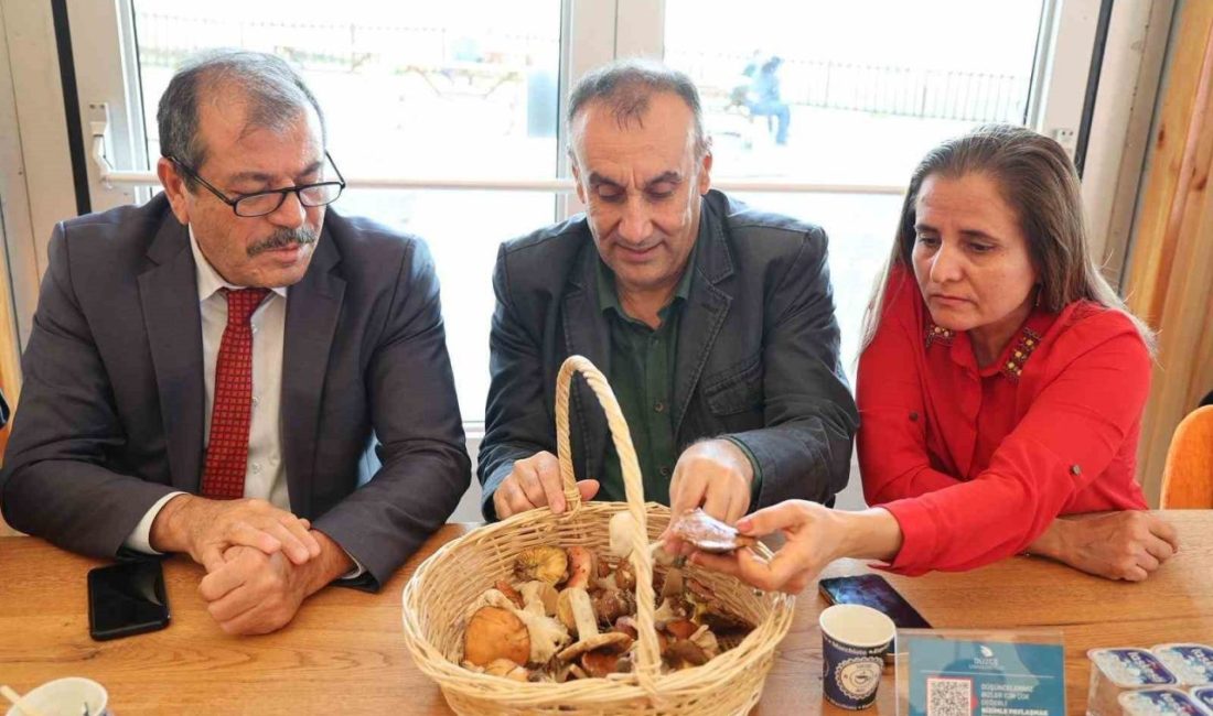 DÜZCE(İHA) – Düzce Üniversitesi Ormancılık Meslek Yüksekokulu Müdürü Doç. Dr.