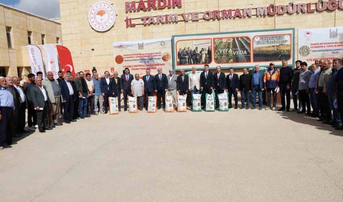 Mardin’de, Tarım Arazilerinin Kullanımının Etkinleştirilmesi (TAKE) Projesi kapsamında çiftçilere 96