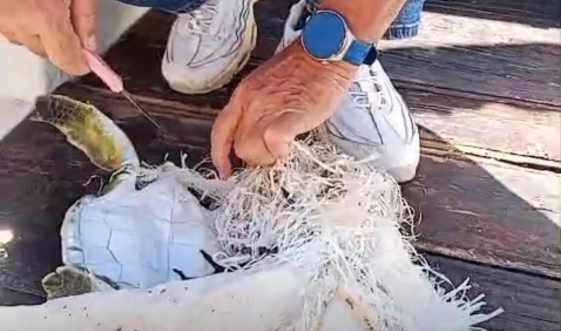 Muğla’nın Marmaris ilçesinde denize açılan çevreci Özcan Köylübay ve arkadaşı,