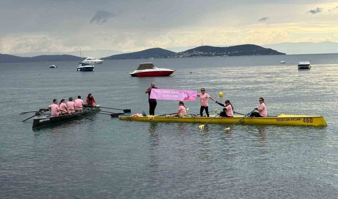 Biruni Üniversitesi Tıp Fakültesi Hastanesi ve Moda Kürek Kulübü, meme