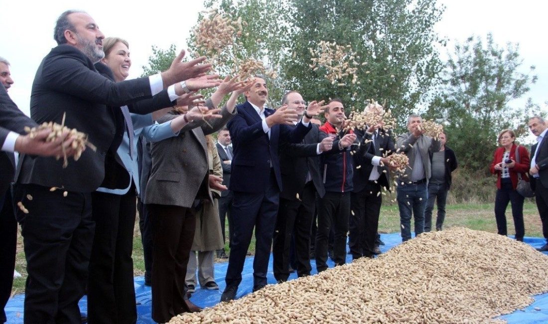 Trakya Kalkınma Ajansı, S.S. Meriç Alibeyköy Tarımsal Kalkınma Kooperatifi ve